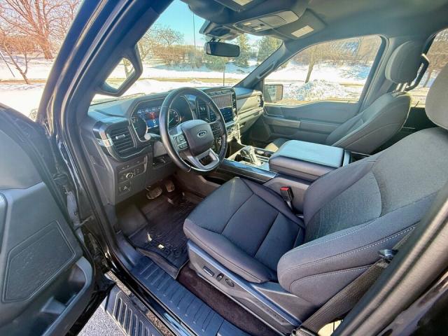 Ford F 150 image 3