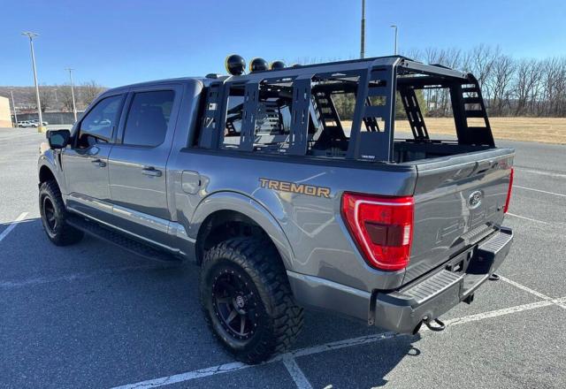 Ford F 150 image 1