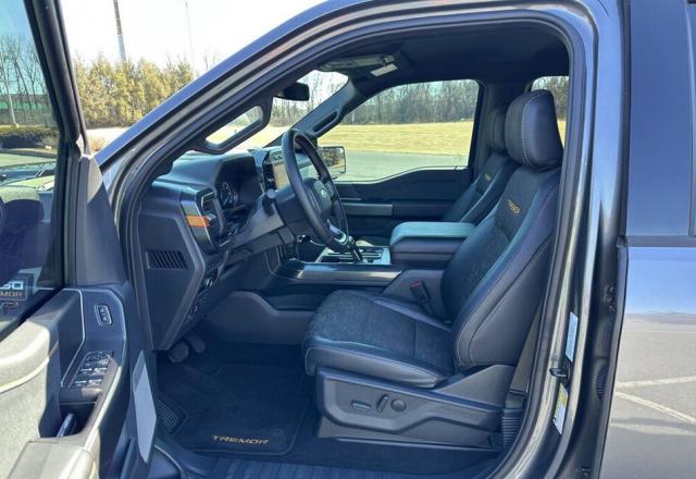 Ford F 150 image 3