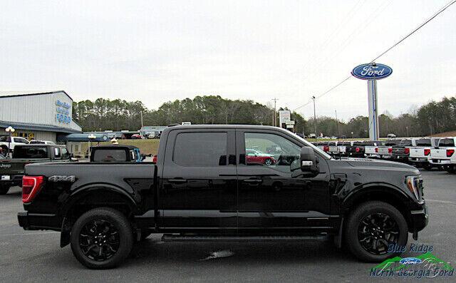 Ford F 150 image 2