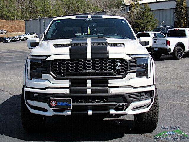 Ford F 150 image 3