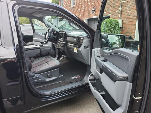 Ford F 150 image 1