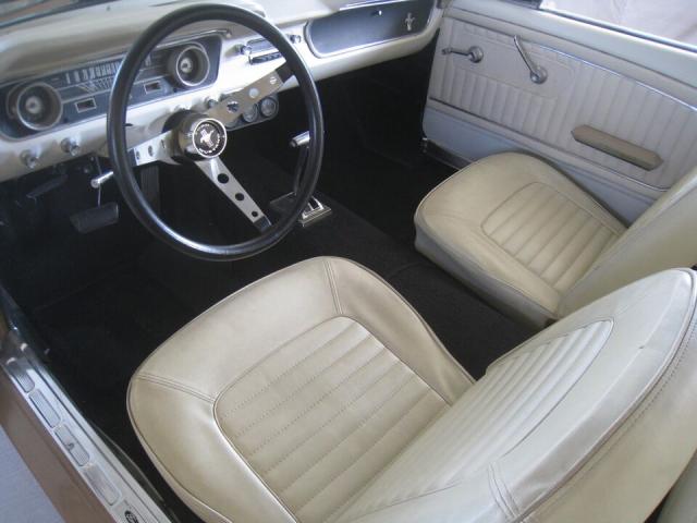 Ford Mustang image 1