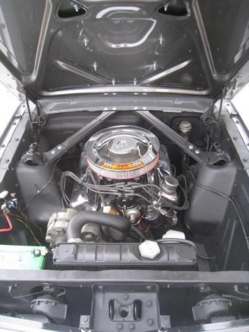 Ford Mustang image 1