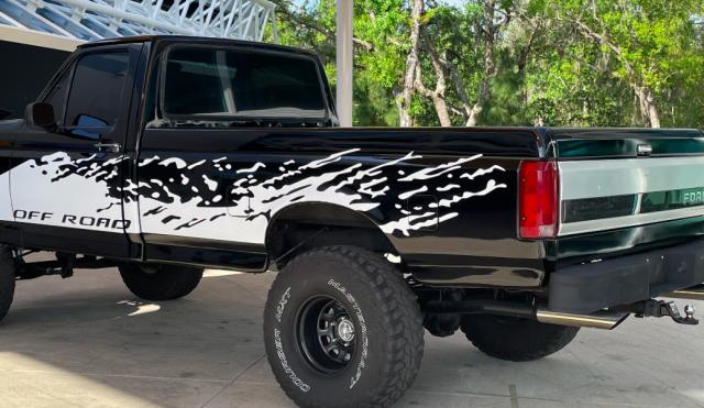 Ford F 150 image 6