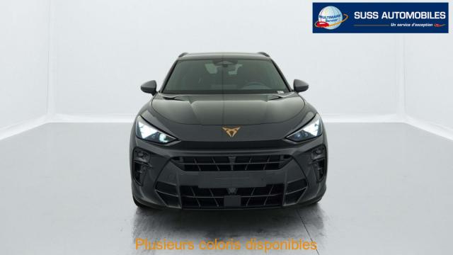 Cupra Terramar image 5