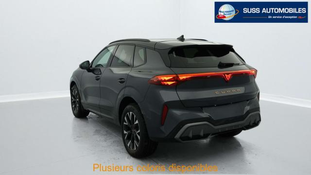 Cupra Terramar image 8