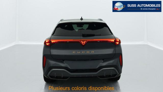 Cupra Terramar image 1