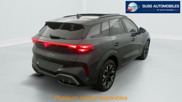 Cupra Terramar image 4