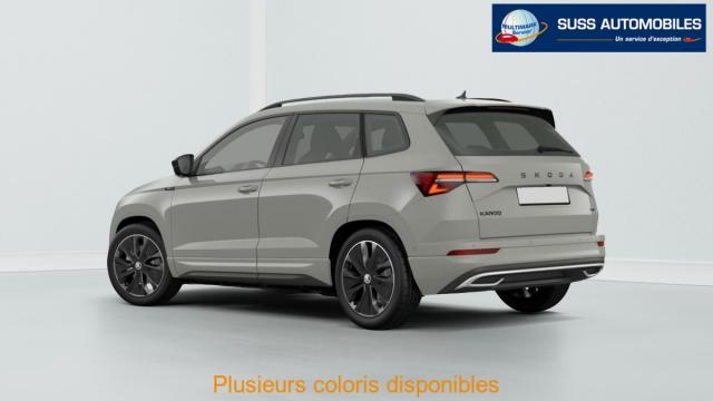 Skoda Karoq image 2