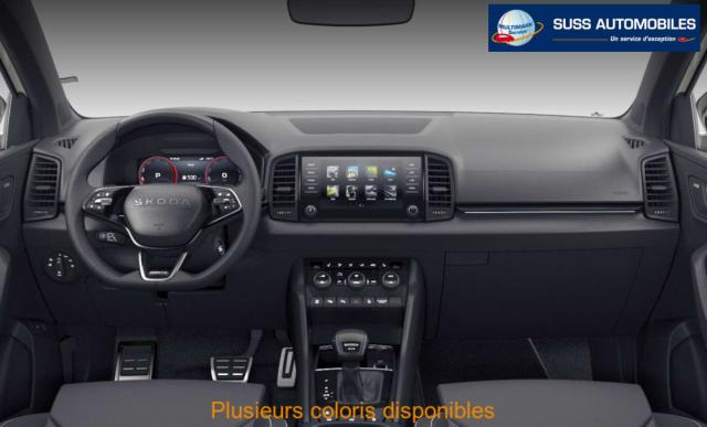 Skoda Karoq image 1