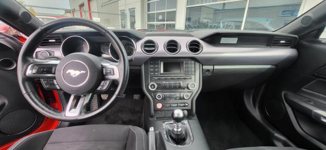 Ford Mustang image 1