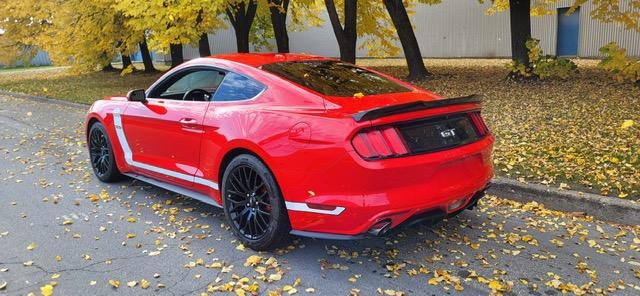 Ford Mustang image 3