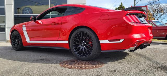 Ford Mustang image 9