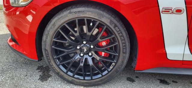 Ford Mustang image 8