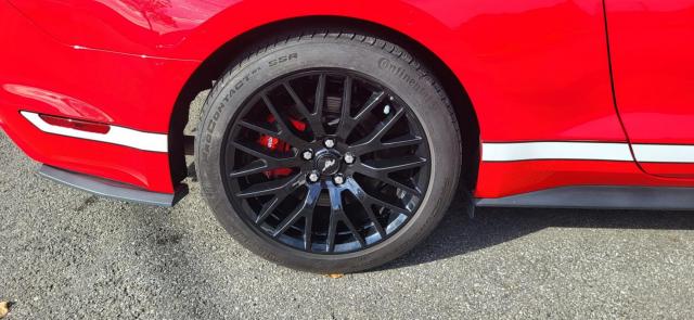 Ford Mustang image 5