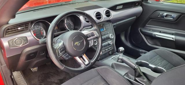 Ford Mustang image 6