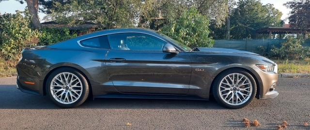 Ford Mustang image 8