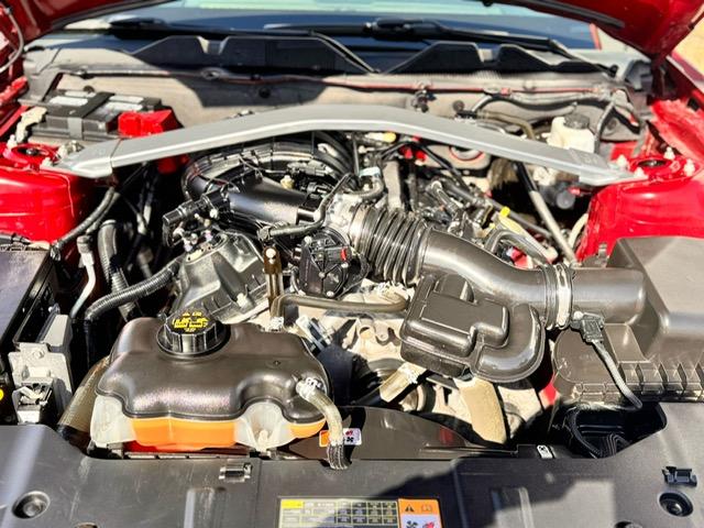 Ford Mustang Convertible image 7