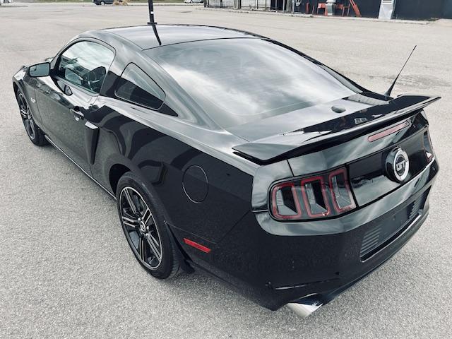 Ford Mustang image 3