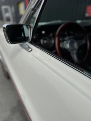 Ford Mustang image 1