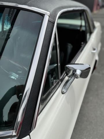 Ford Mustang image 6
