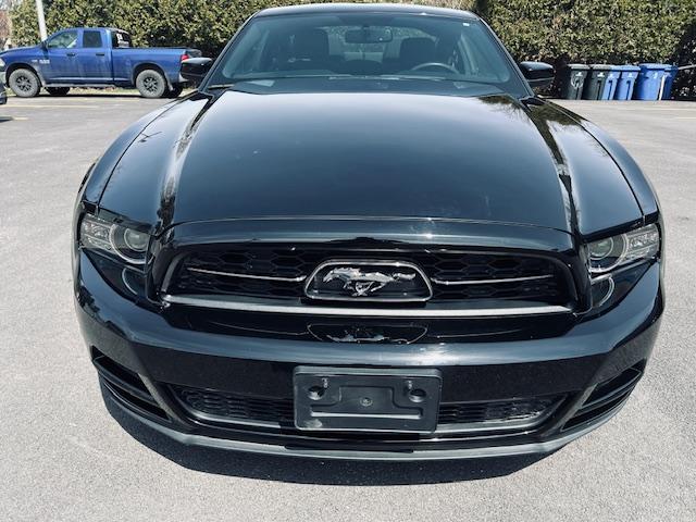 Ford Mustang image 9