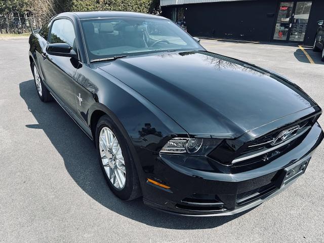Ford Mustang image 5