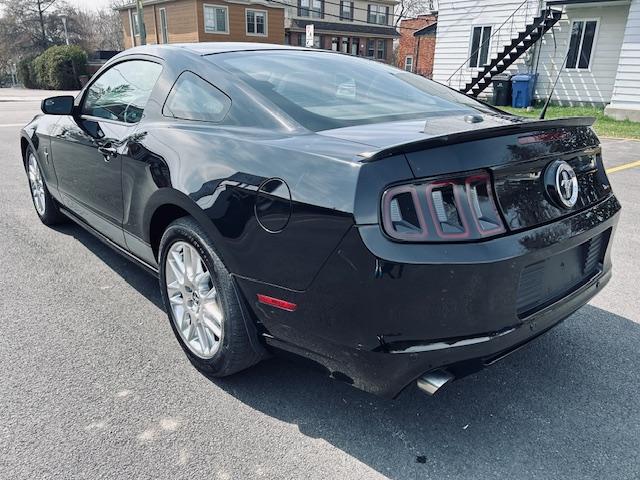 Ford Mustang image 1