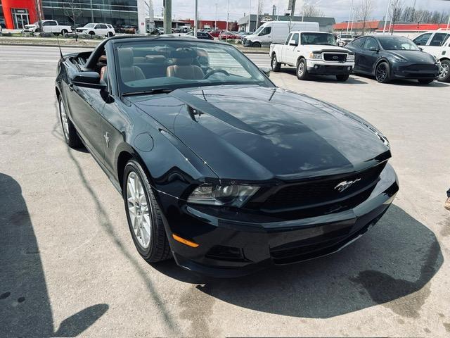 Ford Mustang Convertible image 1