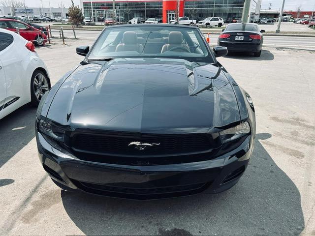 Ford Mustang Convertible image 3