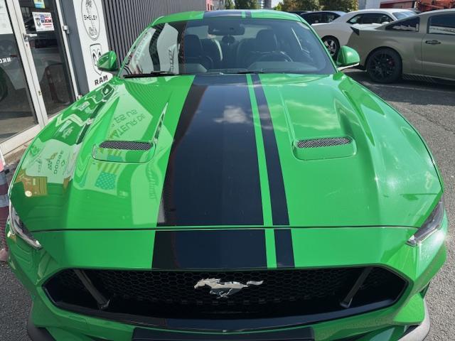 Ford Mustang image 7