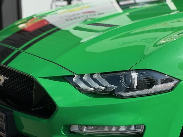 Ford Mustang image 6