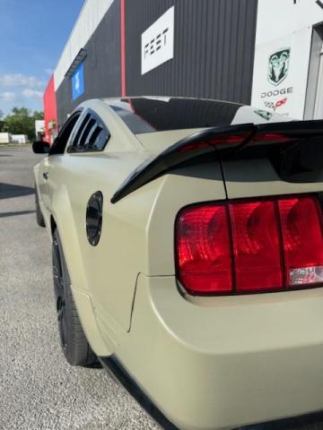 Ford Mustang image 3