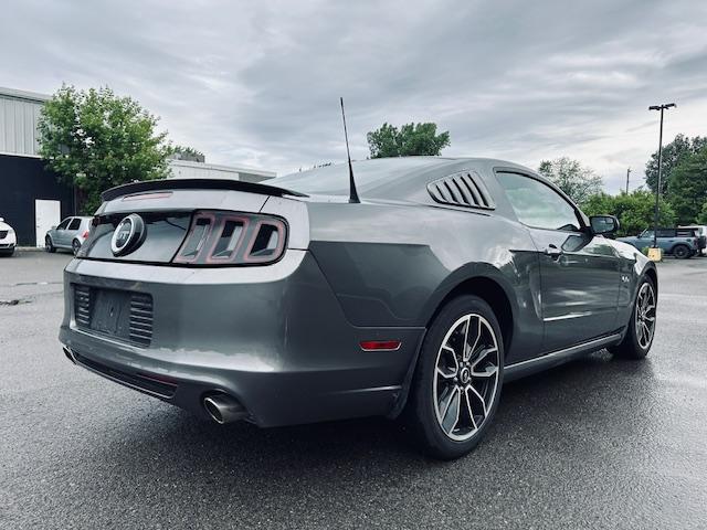 Ford Mustang image 1