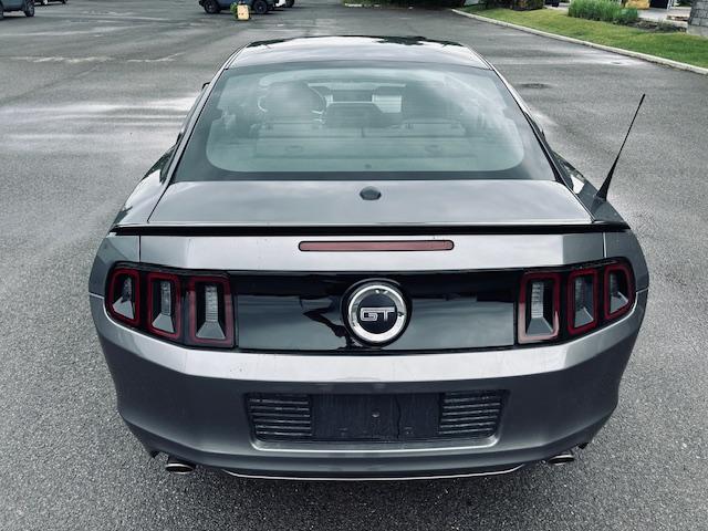 Ford Mustang image 2