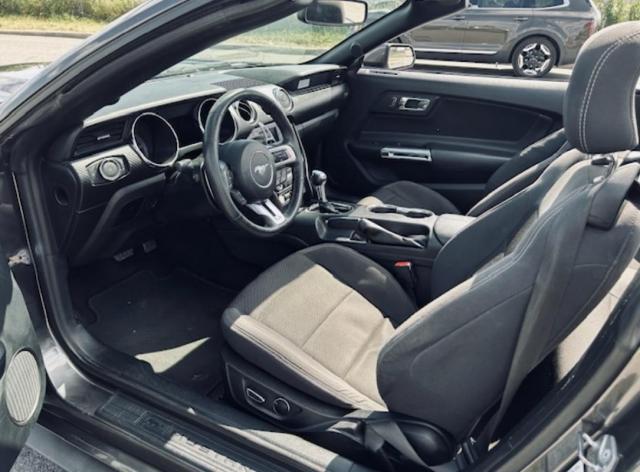 Ford Mustang Convertible image 1