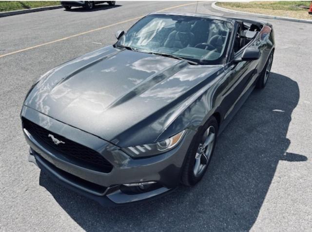 Ford Mustang Convertible image 9