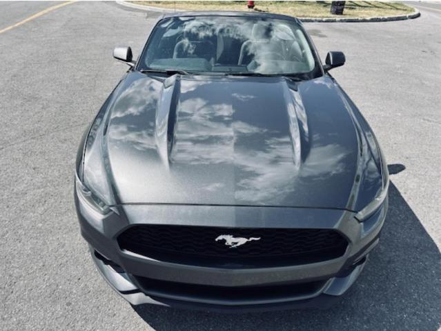 Ford Mustang Convertible image 2