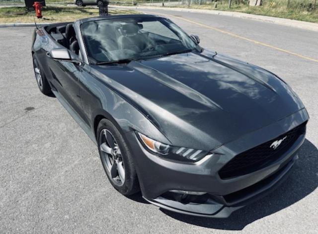 Ford Mustang Convertible image 7