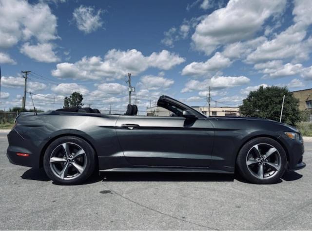 Ford Mustang Convertible image 5