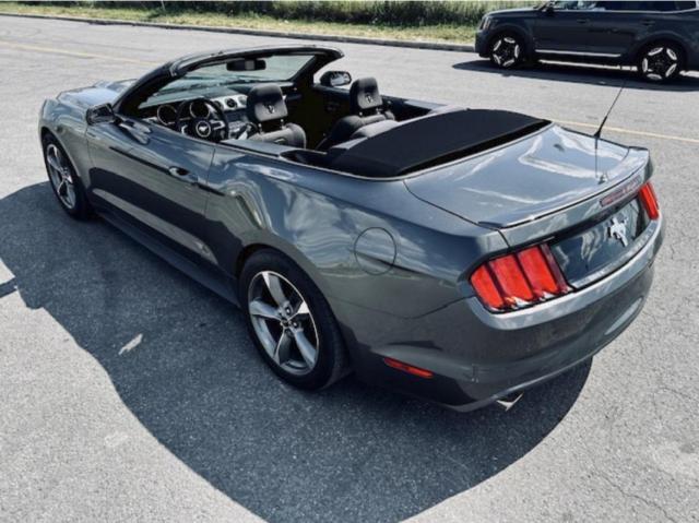 Ford Mustang Convertible image 6