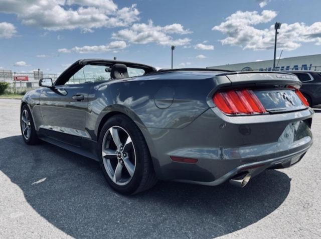 Ford Mustang Convertible image 4