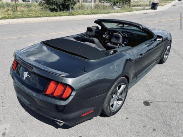 Ford Mustang Convertible image 8