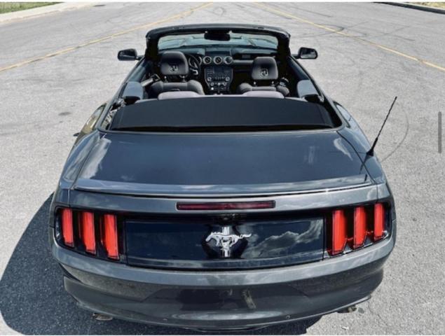 Ford Mustang Convertible image 3