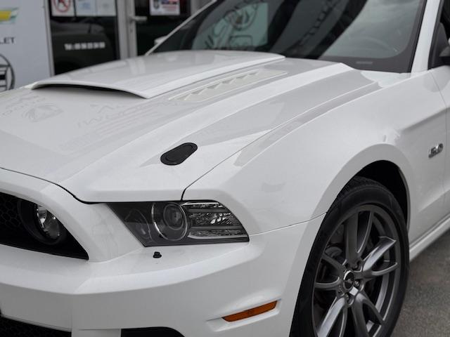 Ford Mustang image 8