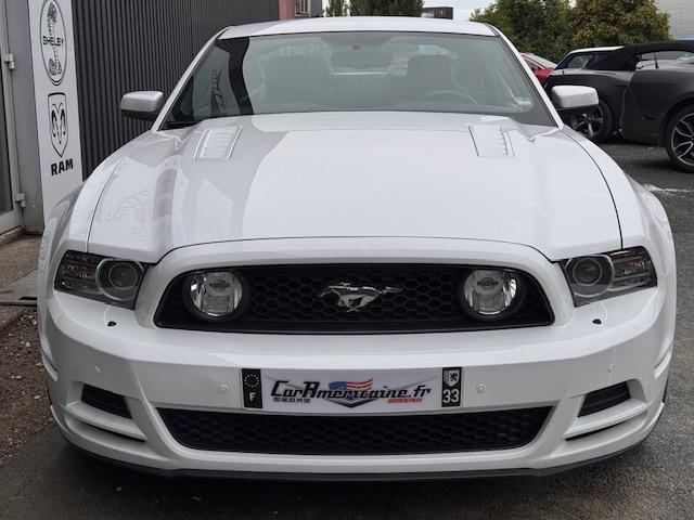 Ford Mustang image 1