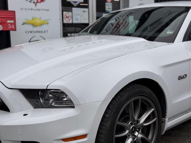 Ford Mustang image 2