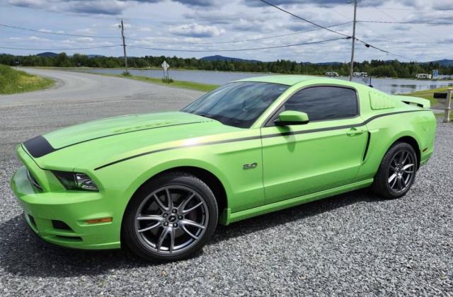 Ford Mustang image 8