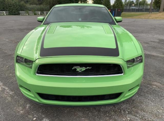 Ford Mustang image 9